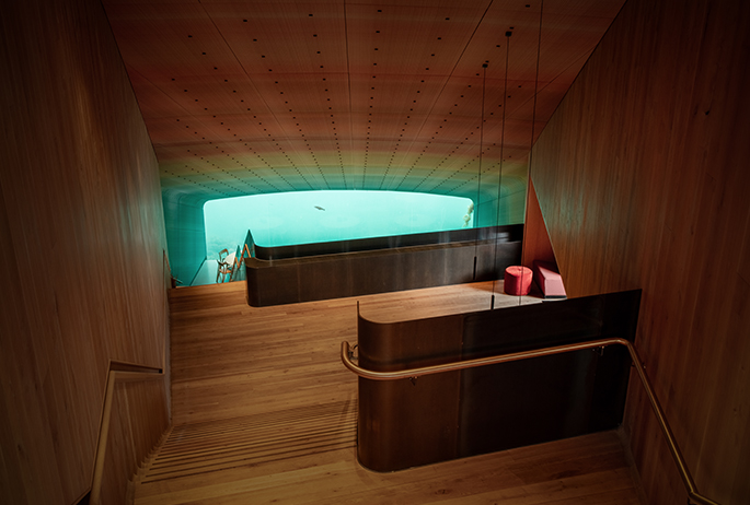 Under, Under Norway, Michelin-Starred, Underwater Restaurant, Snøhetta