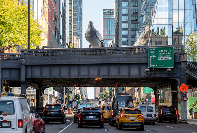 The High Line is an elevated freight rail line transformed into a public park on Manhattan's West Side