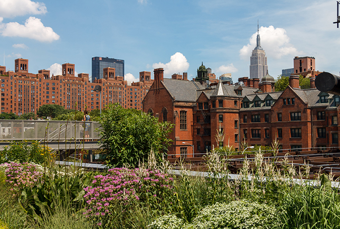 The High Line is an elevated freight rail line transformed into a public park on Manhattan's West Side