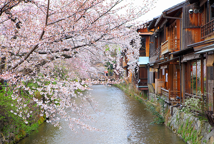 Kyoto. Photo via Depositphotos Depositphotos