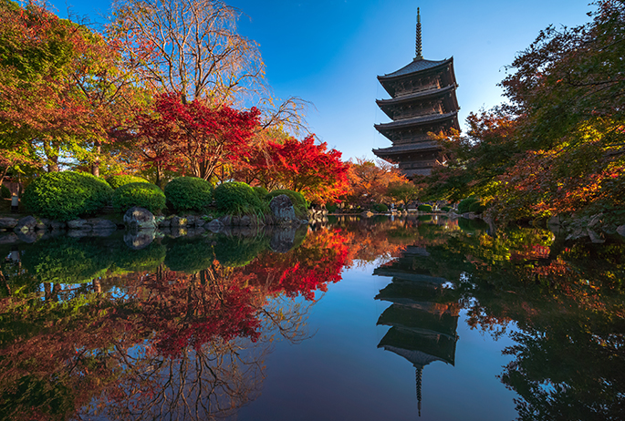 Toji Temple. Photo via AdobeStock Toji Temple kyoto cultural travel guide japan