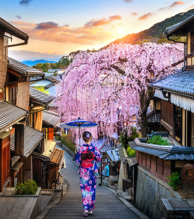 Kyoto cultural travel guide museums galleries art design architecture Japan